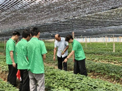 滚球官网安全访问“探参乡·助振兴”暑